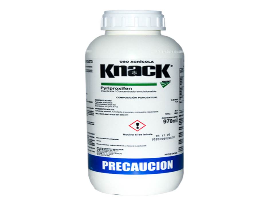 KNACK Pyriproxifen 11.23% 1 L